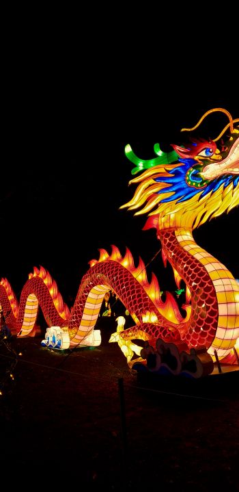 Обои 1080x2220 китайский дракон, праздник, Китай, дракон, счастье, удача