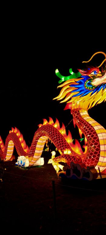 chinese dragon, holiday, China, dragon, happiness, luck Wallpaper 1440x3200