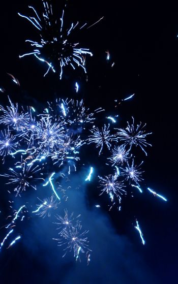 fireworks, spark, lights, in the sky Wallpaper 1752x2800
