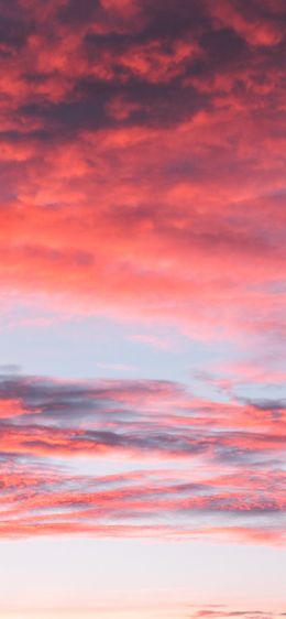 sky, sunset, clouds, dreams, summer, inspiration Wallpaper 828x1792