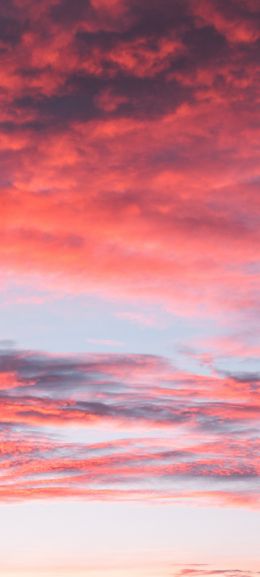sky, sunset, clouds, dreams, summer, inspiration Wallpaper 1440x3200