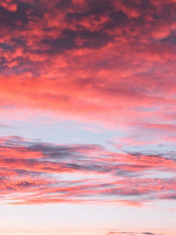 sky, sunset, clouds, dreams, summer, inspiration Wallpaper 1620x2160