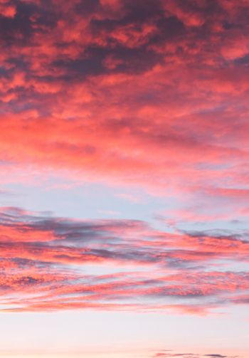 sky, sunset, clouds, dreams, summer, inspiration Wallpaper 1640x2360