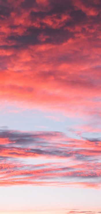 sky, sunset, clouds, dreams, summer, inspiration Wallpaper 1080x2280