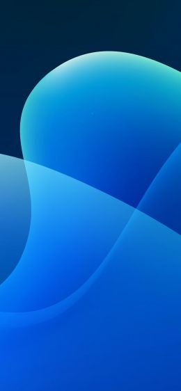 vector graphics, blue waves, abstract waves, lines Wallpaper 828x1792