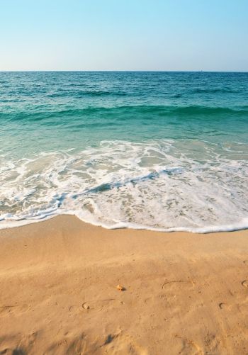Обои 1668x2388 море, волна, прибой, песок, лазурь, морская пена