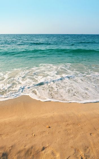 Обои 1600x2560 море, волна, прибой, песок, лазурь, морская пена
