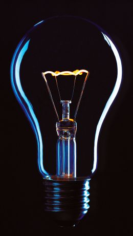 idea, light bulb, glass, world Wallpaper 640x1136