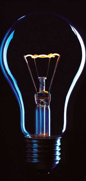 idea, light bulb, glass, world Wallpaper 1440x3040