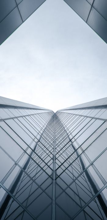 up, minimalism, height, skyscraper, perfectionism Wallpaper 1080x2220
