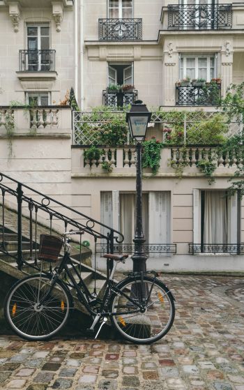 bicycle, cart, streets, ladder, walk, balconies Wallpaper 1752x2800