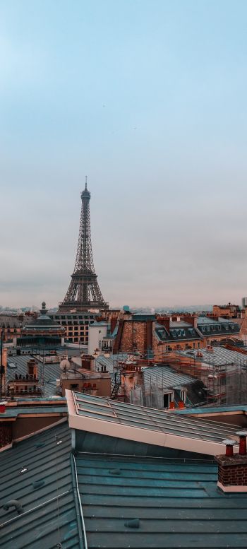 Обои 1440x3200 Франция, Париж, крыши домов, на крыше, дым, Эйфелева башня