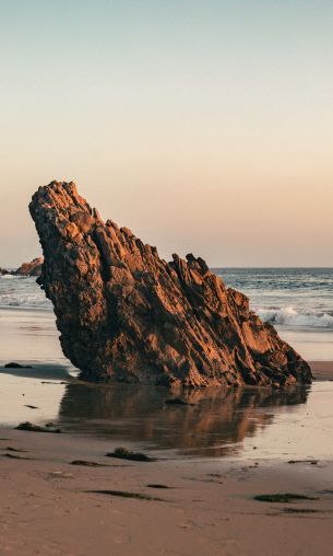 stone, scale, sand, wave, beach, lump Wallpaper 1200x2000