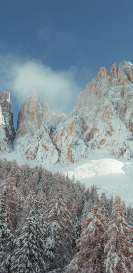 mountains, snowy hills, trees, snow, path, winter Wallpaper 1080x2220