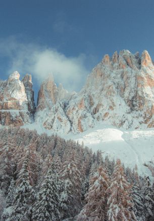 mountains, snowy hills, trees, snow, path, winter Wallpaper 1668x2388