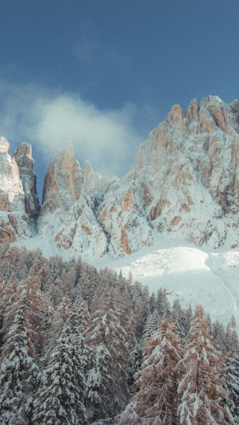 Обои 640x1136 горы, заснеженные холмы, деревья, снег, тропинка, зима