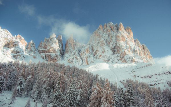 mountains, snowy hills, trees, snow, path, winter Wallpaper 1920x1200