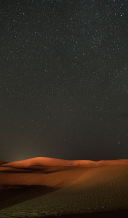 night, desert, sand, stars, starry sky, sky Wallpaper 600x1024