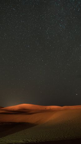 night, desert, sand, stars, starry sky, sky Wallpaper 640x1136
