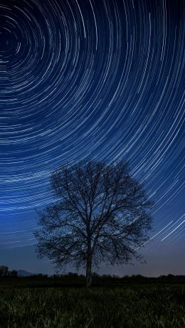 Обои 640x1136 дерево, ночь, звезды, длинная выдержка, трава