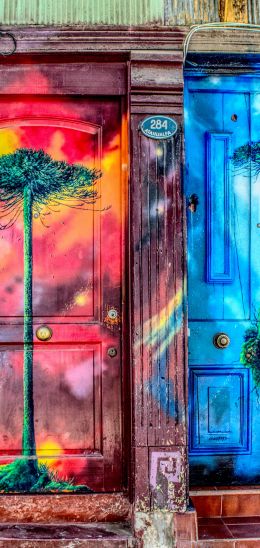 door, art, street painting, tree Wallpaper 1080x2280