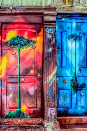 door, art, street painting, tree Wallpaper 640x960