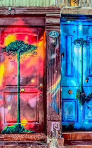 door, art, street painting, tree Wallpaper 1752x2800