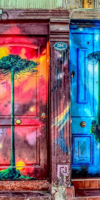 door, art, street painting, tree Wallpaper 720x1440