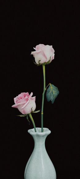 Обои 1440x3200 розы в вазе, ваза, розы