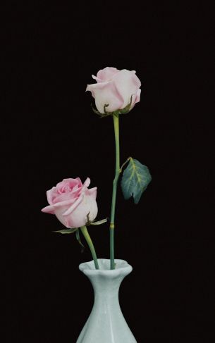 roses in a vase, vase, roses Wallpaper 1752x2800