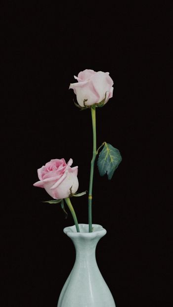 Обои 640x1136 розы в вазе, ваза, розы