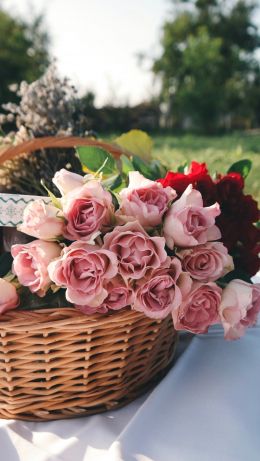 Обои 640x1136 цветы, корзина, розы, пикник