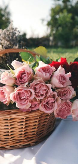Обои 1080x2280 цветы, корзина, розы, пикник