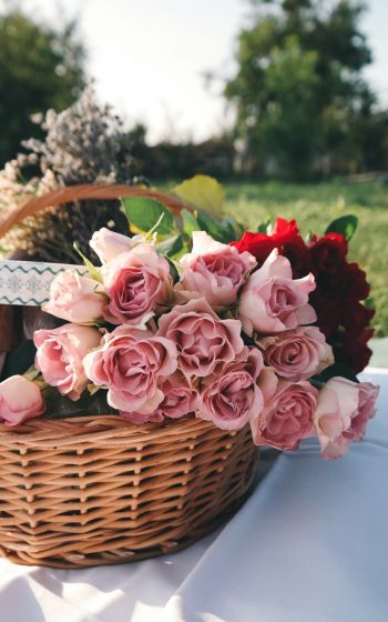 Обои 1200x1920 цветы, корзина, розы, пикник