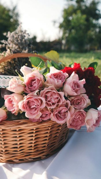 Обои 1080x1920 цветы, корзина, розы, пикник