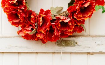 wreath, flowers, decoration, door, wood door Wallpaper 2560x1600