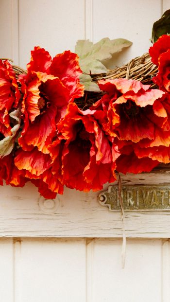 wreath, flowers, decoration, door, wood door Wallpaper 640x1136