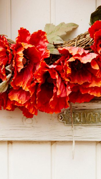 wreath, flowers, decoration, door, wood door Wallpaper 720x1280
