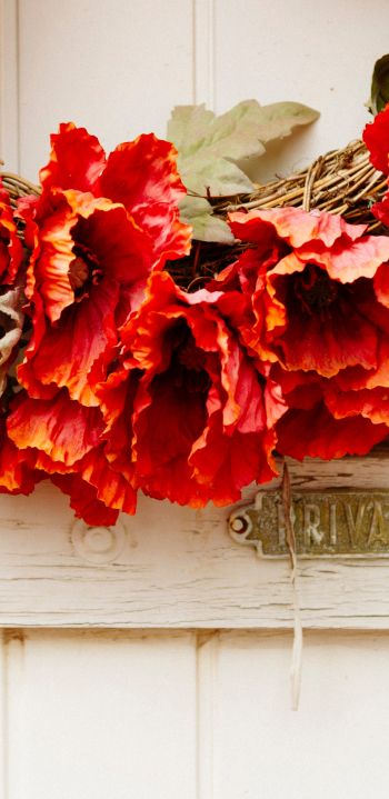 wreath, flowers, decoration, door, wood door Wallpaper 1080x2220