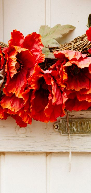 wreath, flowers, decoration, door, wood door Wallpaper 1080x2280