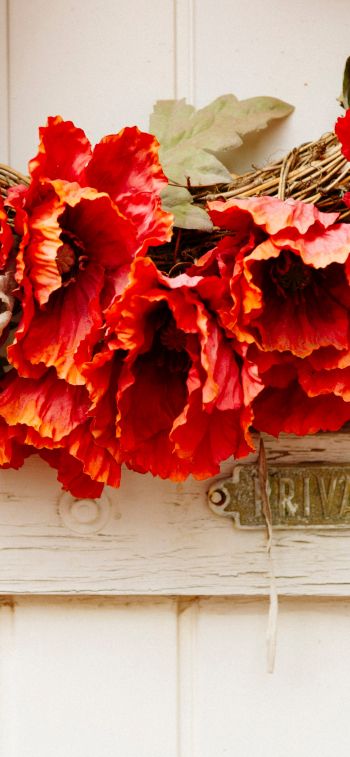 wreath, flowers, decoration, door, wood door Wallpaper 1125x2436