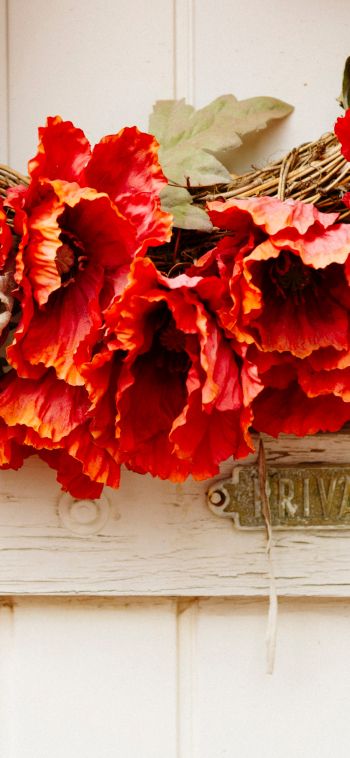 wreath, flowers, decoration, door, wood door Wallpaper 1080x2340