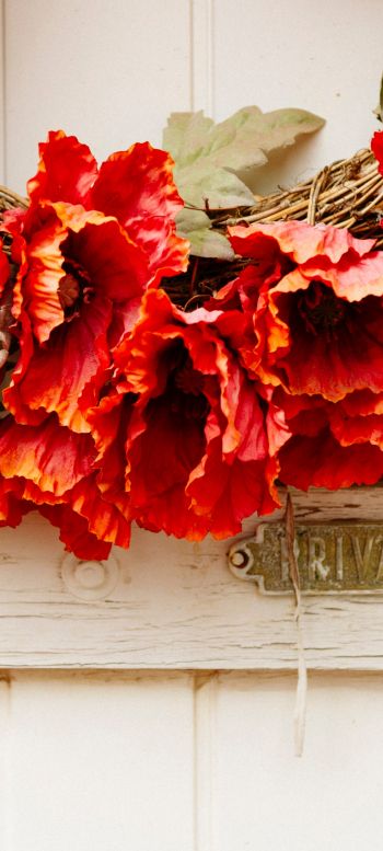 wreath, flowers, decoration, door, wood door Wallpaper 1080x2400