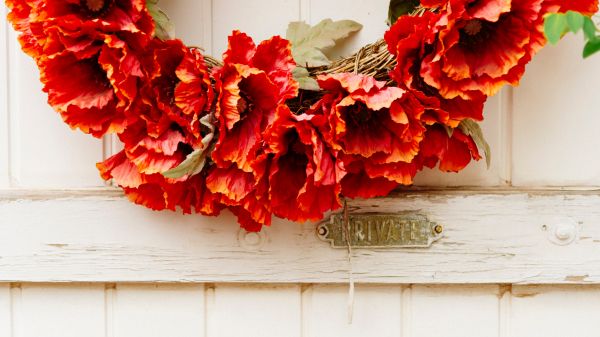 wreath, flowers, decoration, door, wood door Wallpaper 2560x1440
