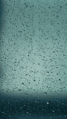 drops, glass, rain, window Wallpaper 750x1334