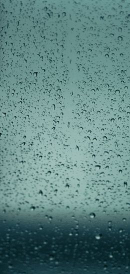 drops, glass, rain, window Wallpaper 1080x2280