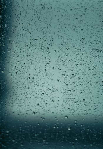 drops, glass, rain, window Wallpaper 1640x2360