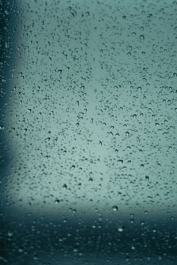 drops, glass, rain, window Wallpaper 640x960