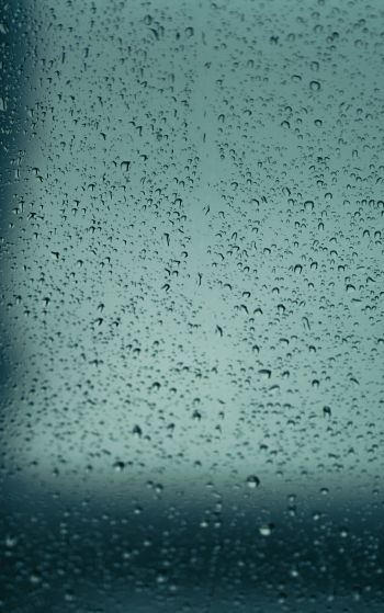 drops, glass, rain, window Wallpaper 1752x2800