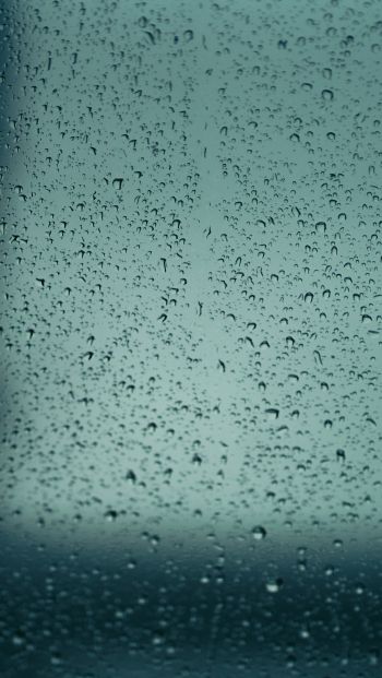 drops, glass, rain, window Wallpaper 640x1136
